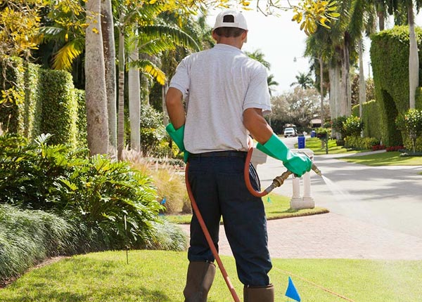 About Crosby PA Pest Control